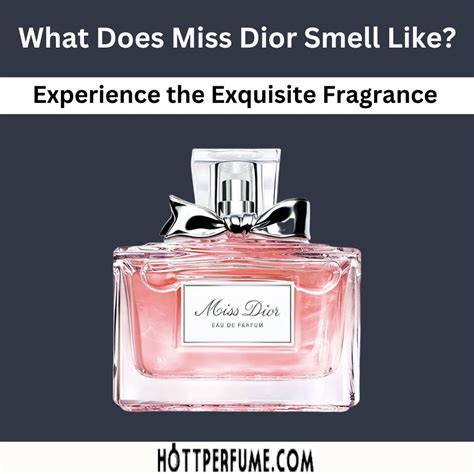 best dior perfume for woman|what does miss dior perfume smell like.